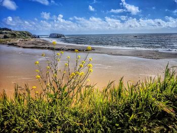 Scenic view of sea against sky