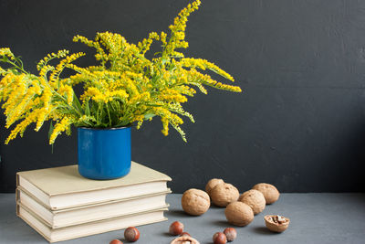 Close-up of potted plant on table