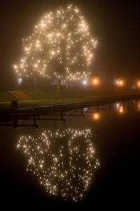 Firework display over illuminated christmas tree at night