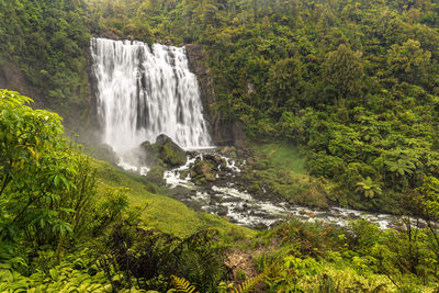 Scenic view of waterfall in forest