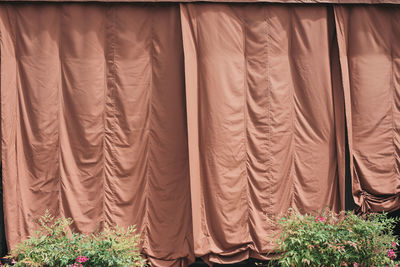 Close-up of curtain