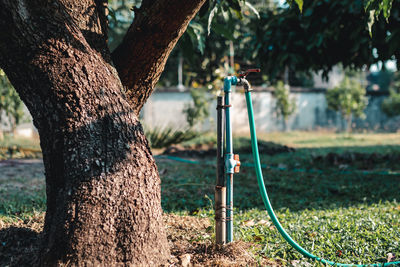 Close-up of faucet by tree trunk in park