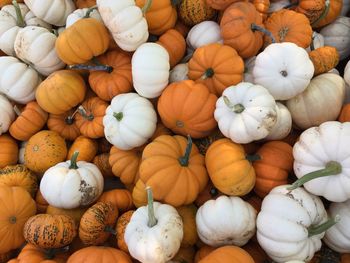 Full frame shot of pumpkins for sale