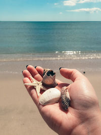 Close-up of hand holding crab on beach