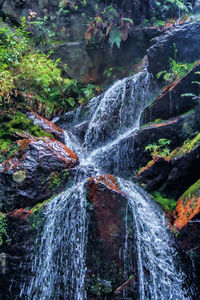 Waterfall in forest