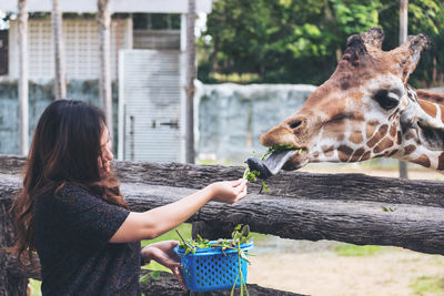 Full length of girl eating woman in zoo