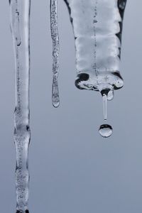 Close-up of icicle against sky