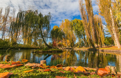 Trees by lake against sky during autumn