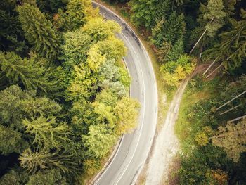 High angle view of road passing through forest