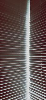 Full frame shot of window blinds