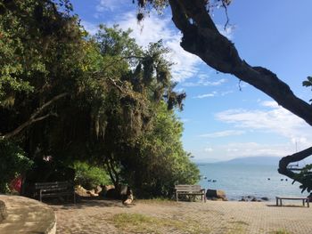 Trees by sea against sky