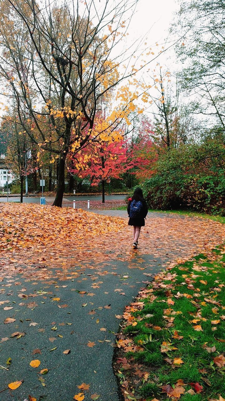 FULL LENGTH REAR VIEW OF MAN WALKING ON AUTUMN LEAVES