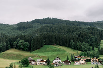 Scenic view of trees and houses against sky