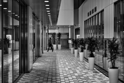 Modern office building in city