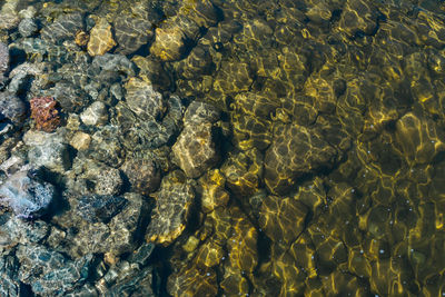 Full frame shot of rocks