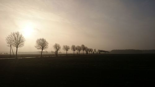 Bare trees on landscape at sunset