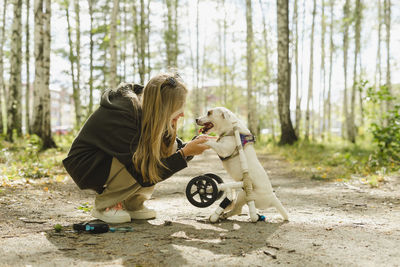 Girl holding paws of disabled dog in birch grove