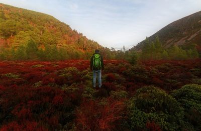 Scenic view of landscape against sky during autumn