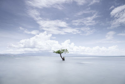 Scenic view of sea against cloudy sky