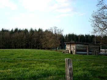 Scenic view of field against sky