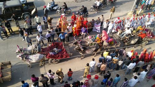 High angle view of people watching animal parade on street