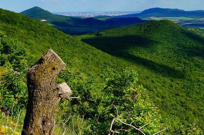 Scenic view of tree mountains against sky