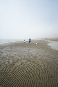 People on beach against clear sky