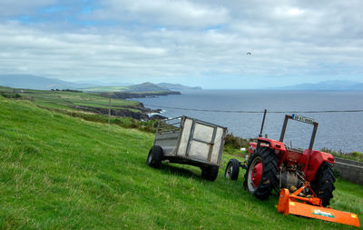 Scenic view of grassy field against sky