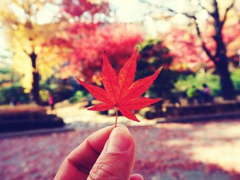 Close-up of hand holding autumn leaf