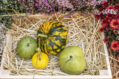 High angle view of pumpkin on table