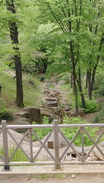 View of bridge in garden