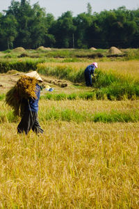 People working at farm