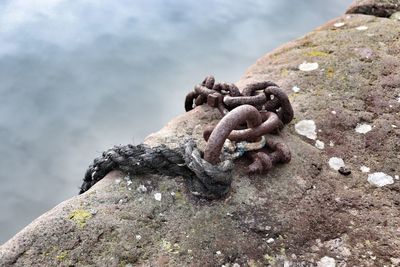 Close-up of rusty chain on rock