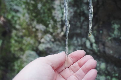 Cropped hand touching icicles