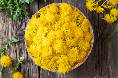 High angle view of yellow flowering plant on table