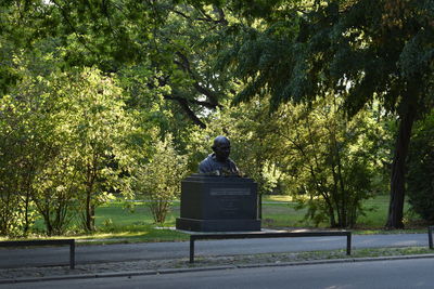 Rear view of man sitting on bench in park