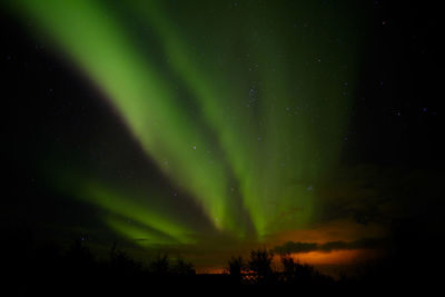 Low angle view of silhouette trees against sky at night