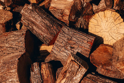 Full frame shot of logs in forest