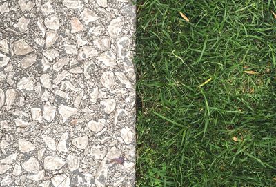 Full frame shot of grassy field