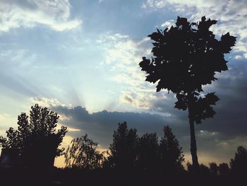 Low angle view of silhouette trees against sky at sunset