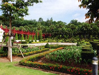 View of park in garden