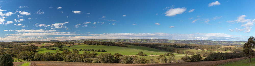 Scenic view of agricultural field against sky