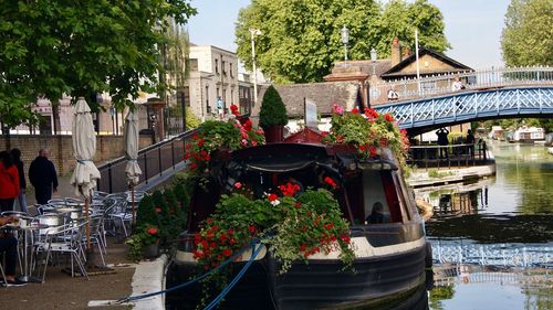 View of flowering plants by canal against buildings