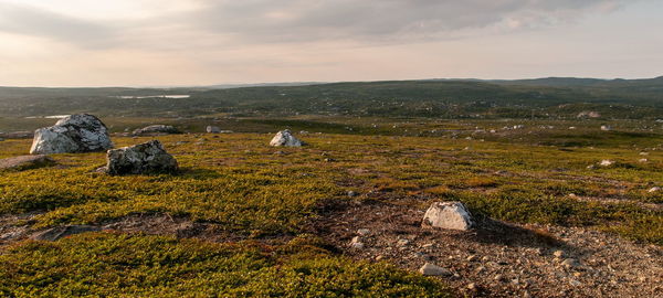 Scenic view of landscape against sky