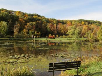 Bench by lake against trees during autumn