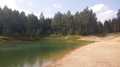 Scenic view of lake in forest against sky