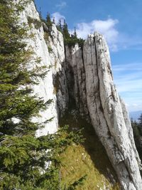 Low angle view of rock formation amidst trees against sky