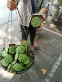 Low section of man holding leaf