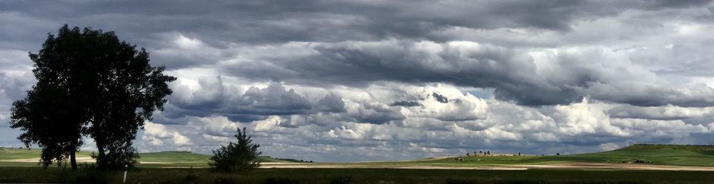 Panoramic shot of trees on field against sky