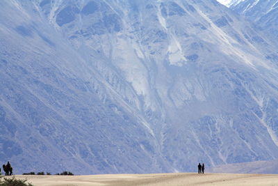 A quiet time- traveler taking a break, watching on the bare mountains